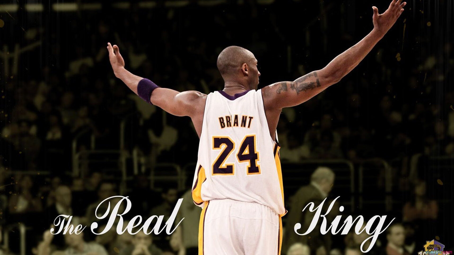 法网绝杀联合杯，辛纳惊艳四座